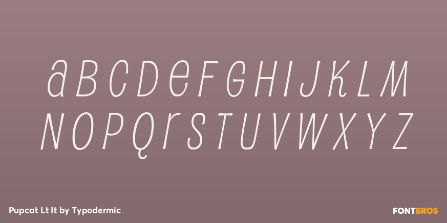 Pupcat Lt It Font Poster #3