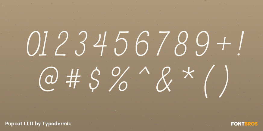 Pupcat Lt It Font Poster #4