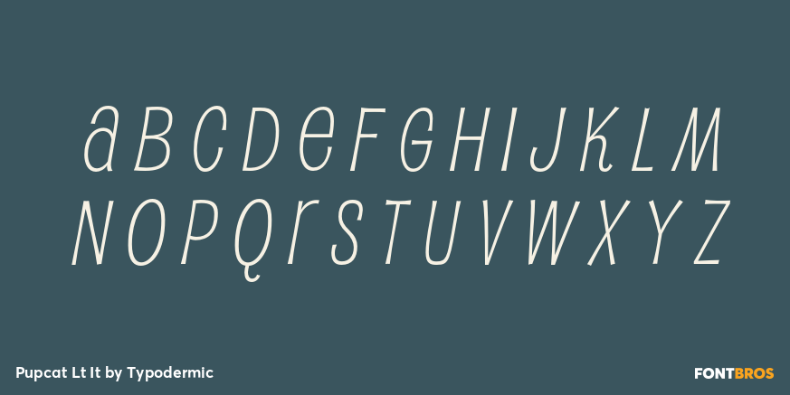 Pupcat Lt It Font Poster #1