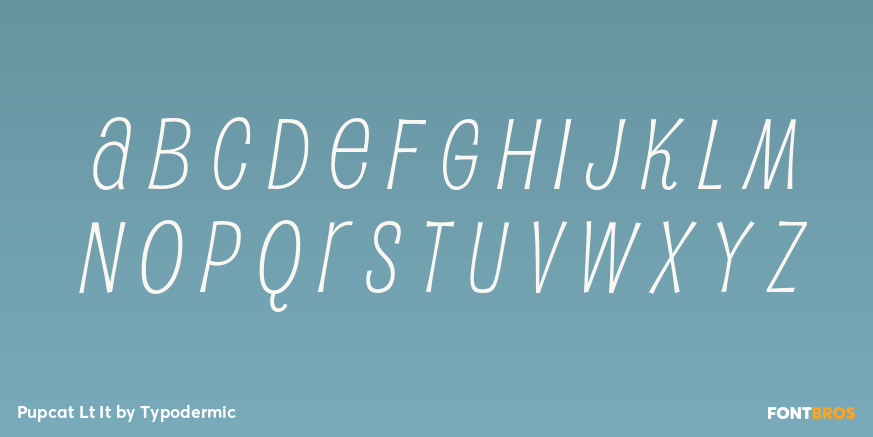 Pupcat Lt It Font Poster #1