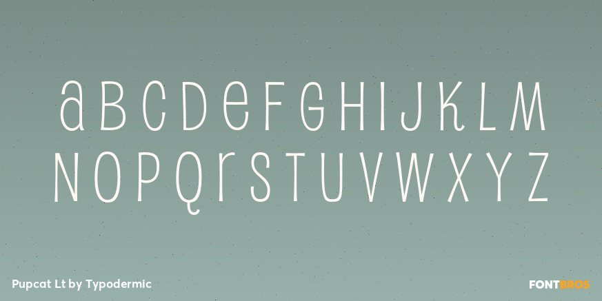 Pupcat Lt Font Poster #2