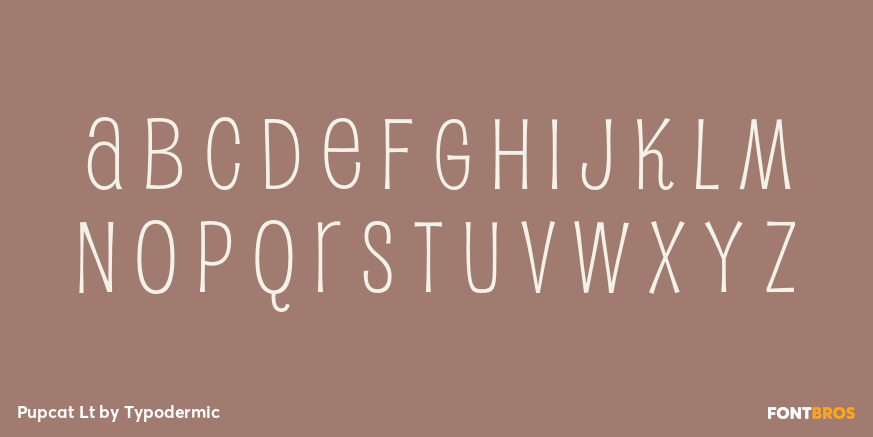 Pupcat Lt Font Poster #3