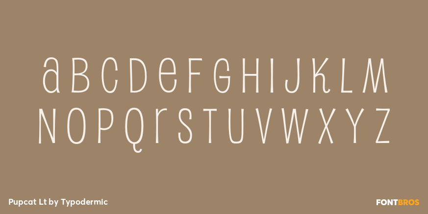 Pupcat Lt Font Poster #1