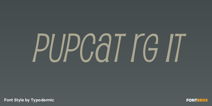Pupcat Rg It Font Poster #1