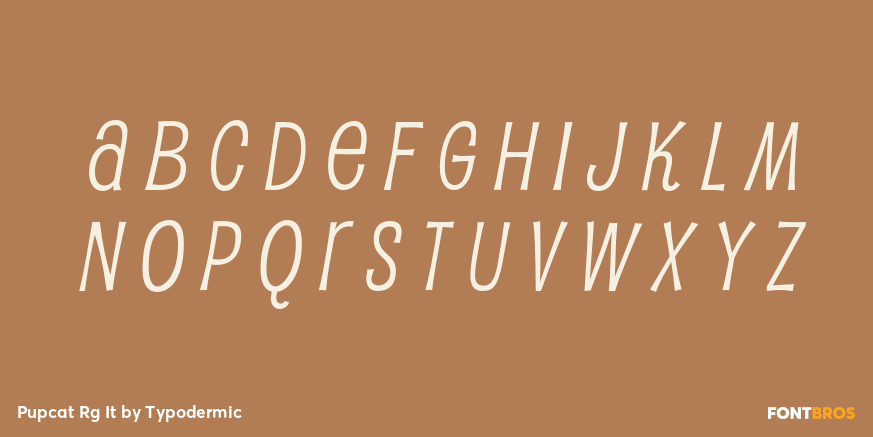 Pupcat Rg It Font Poster #2