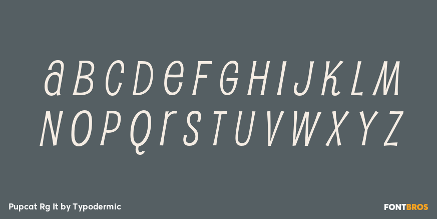 Pupcat Rg It Font Poster #3
