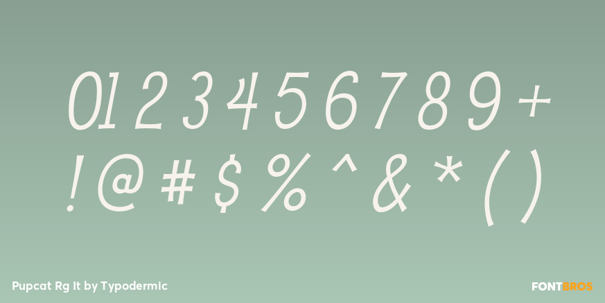 Pupcat Rg It Font Poster #4