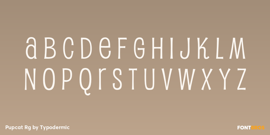 Pupcat Rg Font Poster #2