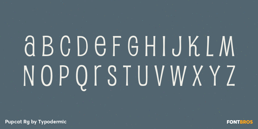 Pupcat Rg Font Poster #3