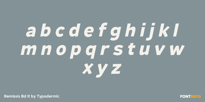 Remissis Bd It Font Poster #1