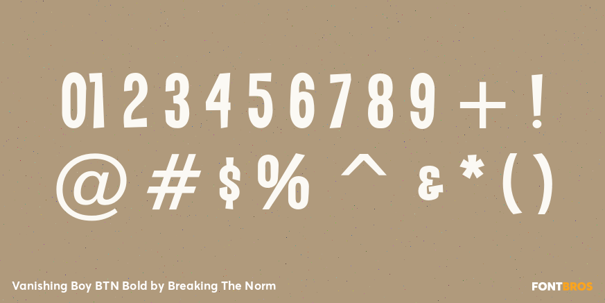 Vanishing Boy BTN Bold Font Poster #4