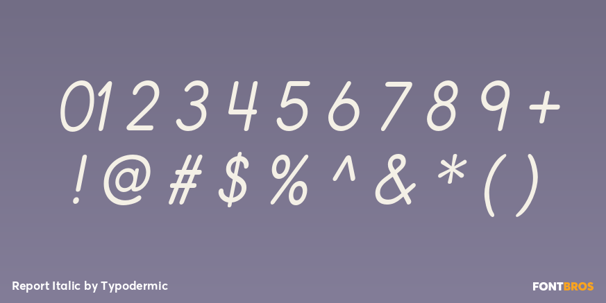 Report Italic Font Poster #4