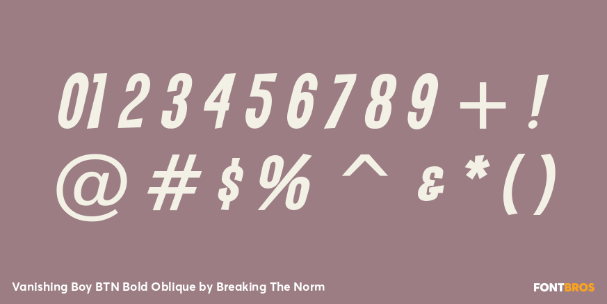 Vanishing Boy BTN Bold Oblique Font Poster #4