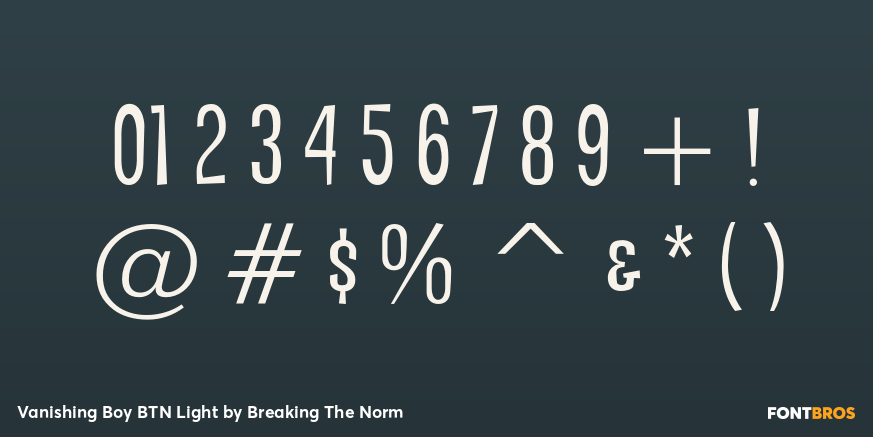 Vanishing Boy BTN Light Font Poster #1