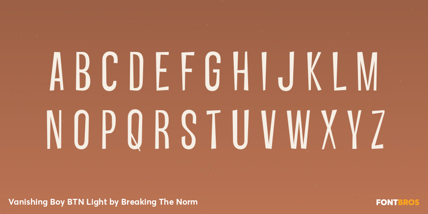 Vanishing Boy BTN Light Font Poster #2