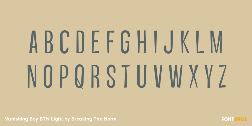 Vanishing Boy BTN Light Font Poster #3