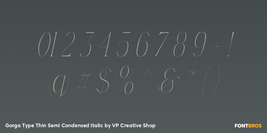 Gorga Type Thin Semi Condensed Italic Font Poster #4