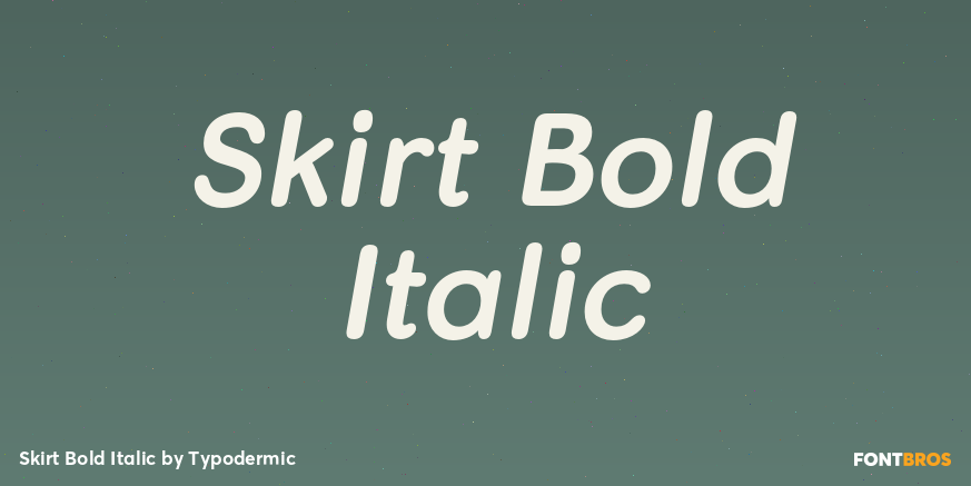 Skirt Bold Italic Font Poster #1