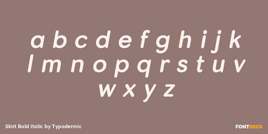 Skirt Bold Italic Font Poster #3