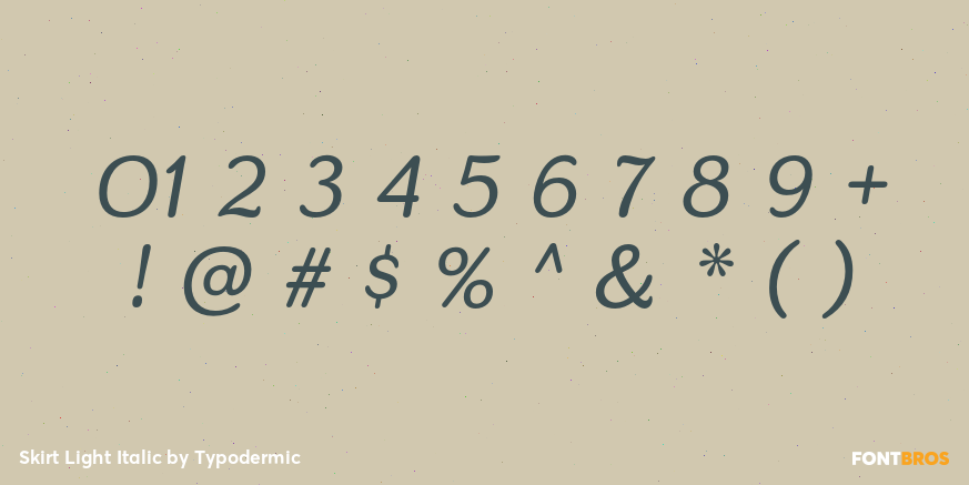 Skirt Light Italic Font Poster #1