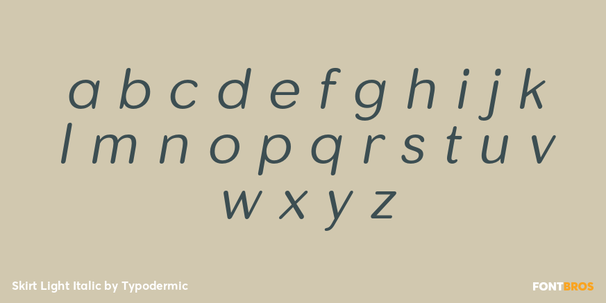 Skirt Light Italic Font Poster #3