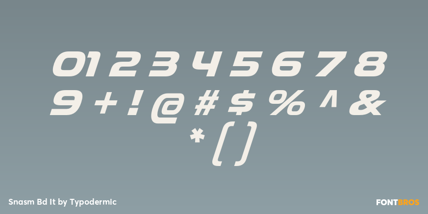 Snasm Bd It Font Poster #1