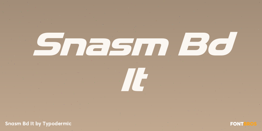 Snasm Bd It Font Poster #1