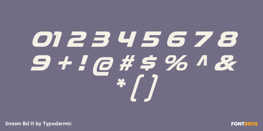 Snasm Bd It Font Poster #4