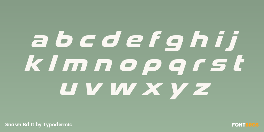 Snasm Bd It Font Poster #1