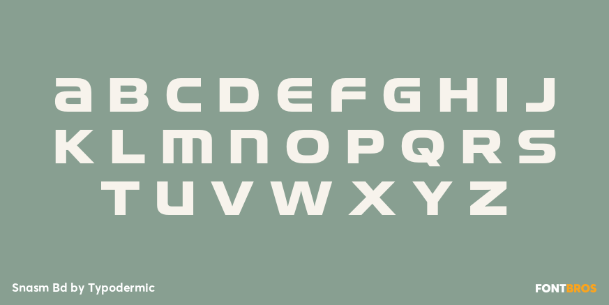 Snasm Bd Font Poster #2