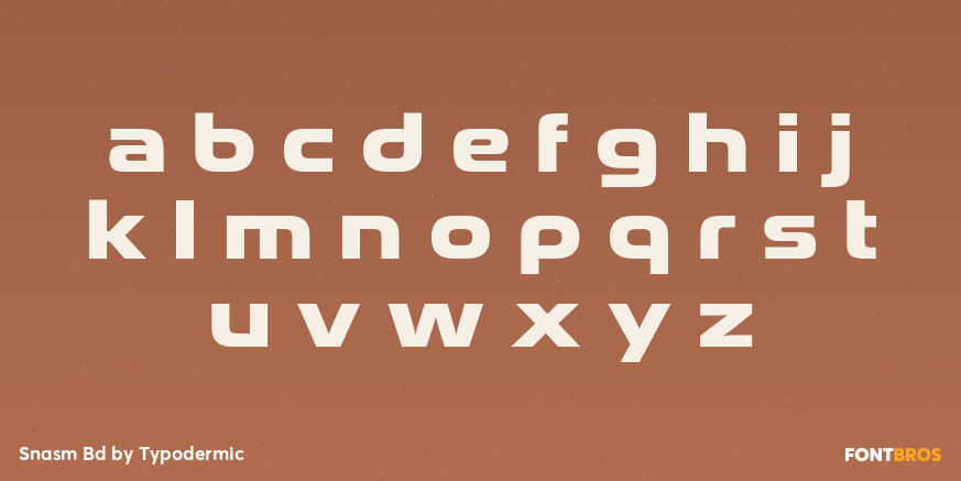 Snasm Bd Font Poster #3