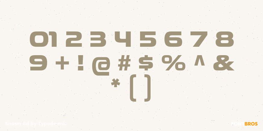 Snasm Bd Font Poster #4