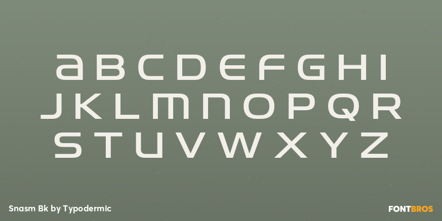 Snasm Bk Font Poster #2