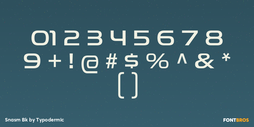 Snasm Bk Font Poster #4