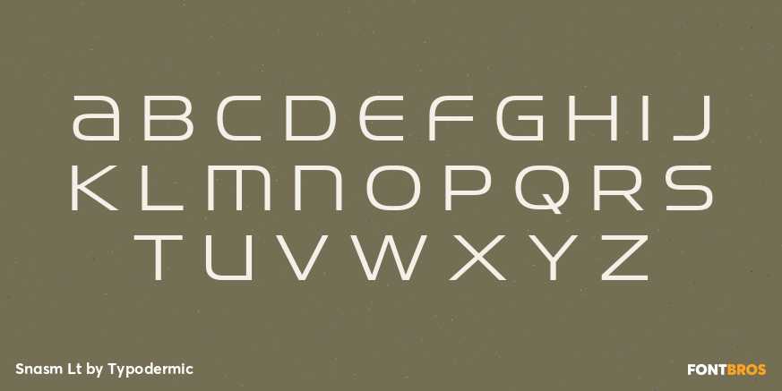 Snasm Lt Font Poster #2