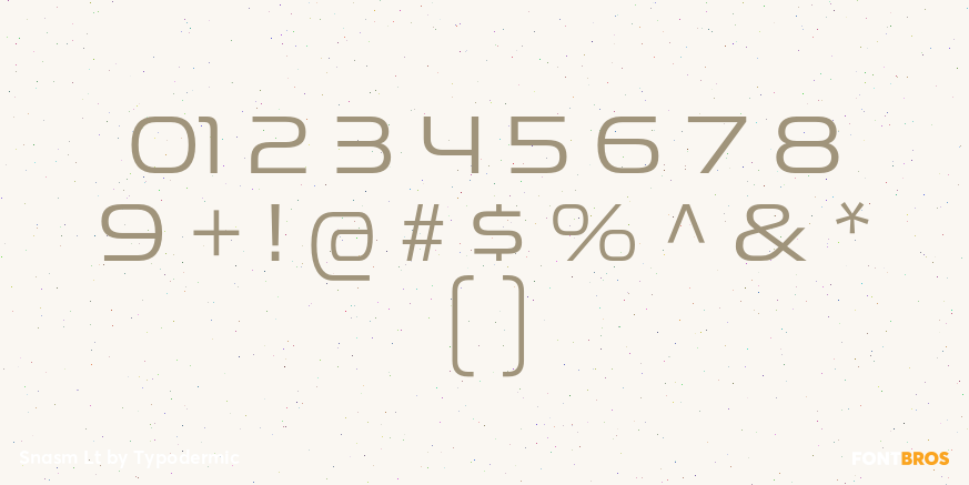 Snasm Lt Font Poster #4