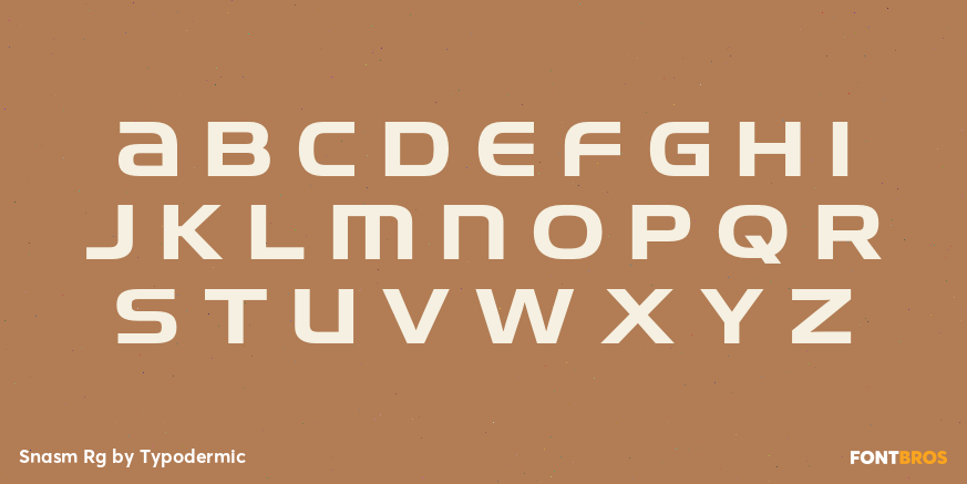 Snasm Rg Font Poster #2
