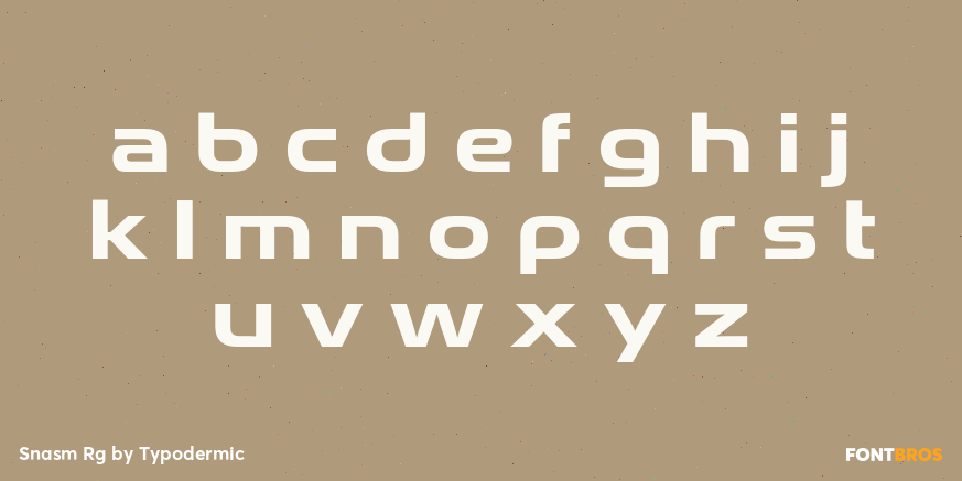 Snasm Rg Font Poster #3