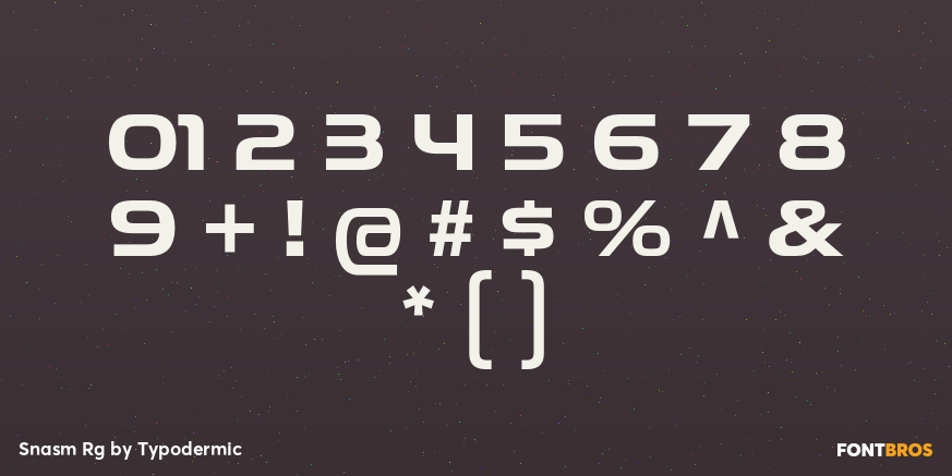 Snasm Rg Font Poster #4