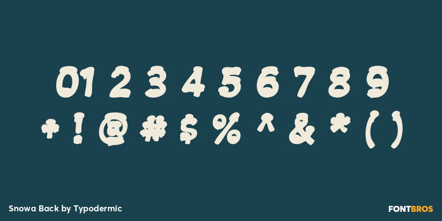 Snowa Back Font Poster #4