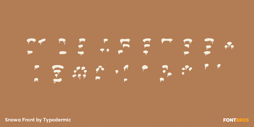 Snowa Front Font Poster #4