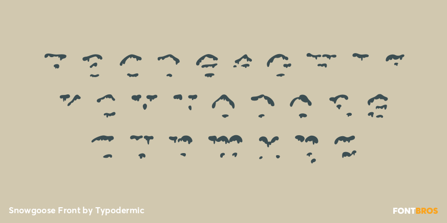 Snowgoose Front Font Poster #2