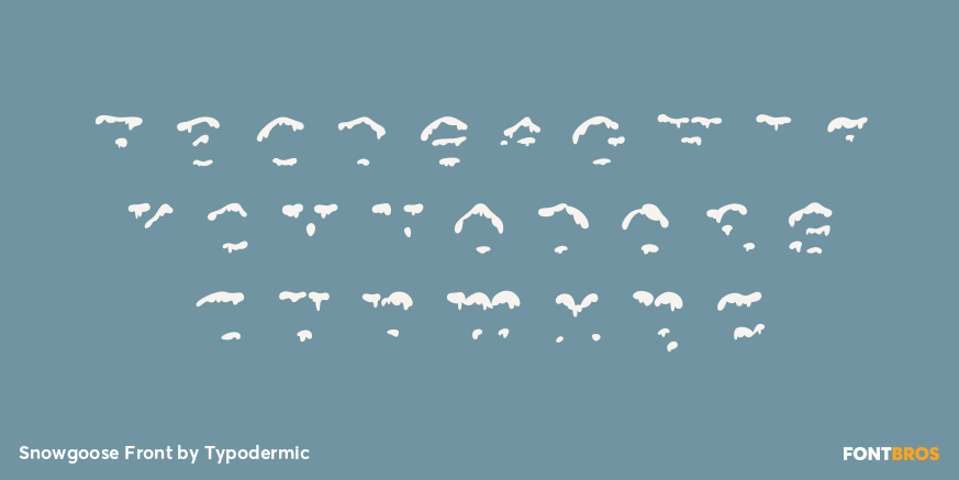Snowgoose Front Font Poster #1