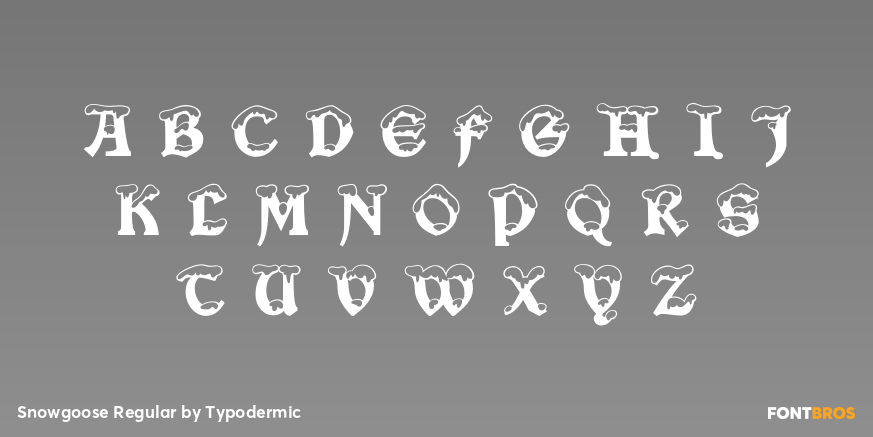 Snowgoose Regular Font Poster #2