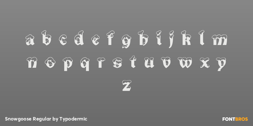 Snowgoose Regular Font Poster #3