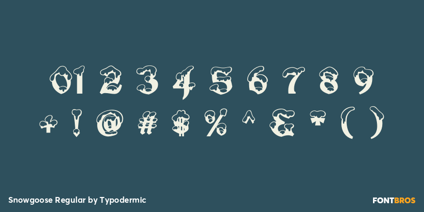 Snowgoose Regular Font Poster #4