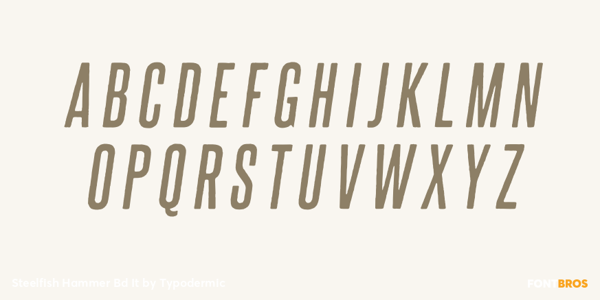 Steelfish Hammer Bd It Font Poster #2