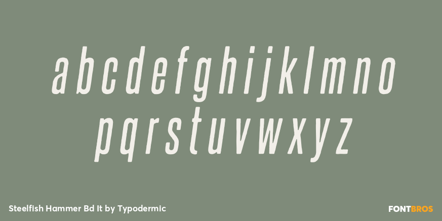 Steelfish Hammer Bd It Font Poster #3