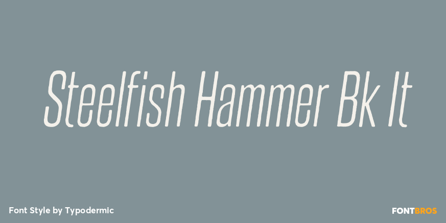 Steelfish Hammer Bk It Font Poster #1