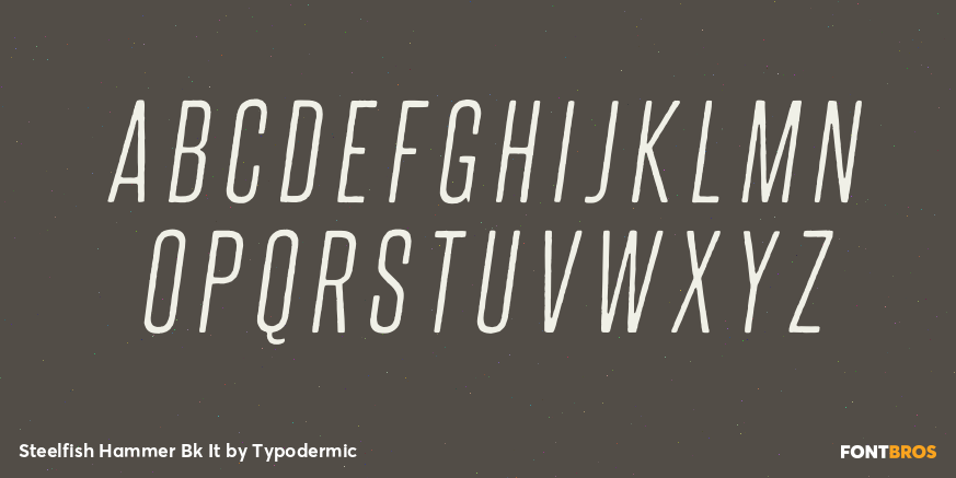 Steelfish Hammer Bk It Font Poster #1